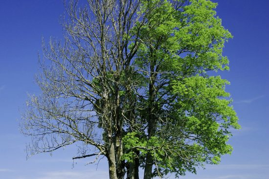 091523-causes-of-death-post