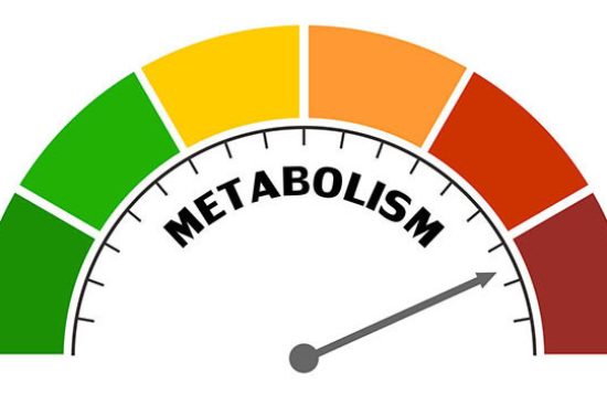 223480bb-1ca3-4de4-88ba-b2fa11b11636