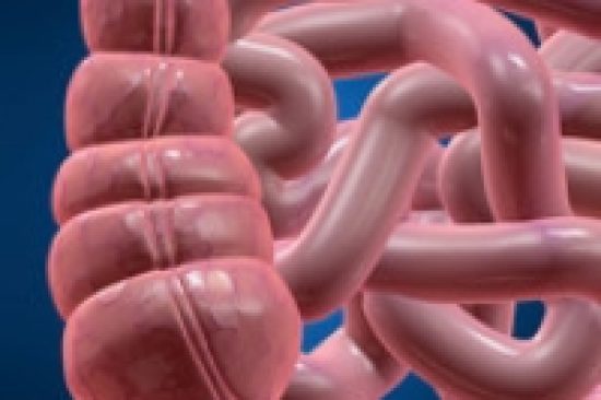 Appendix