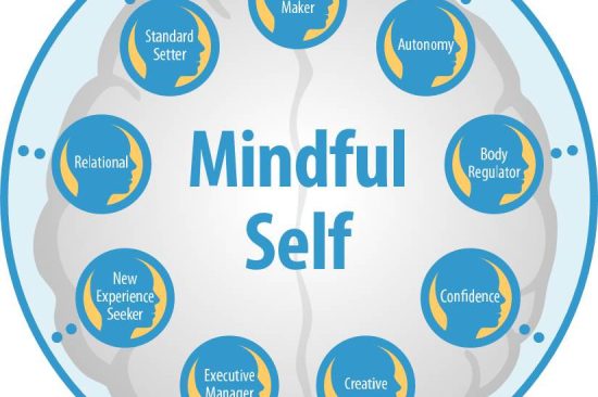 PrimaryCapacitesGraphic