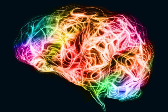 c620f9c4-8401-44dc-97c2-0f844c1e95f5