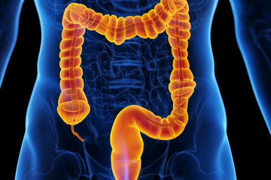 ed8bf1e8-c28f-466a-8282-2e5275e9612c