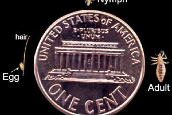 f4c13a70-511a-4764-b07d-c3ad9d359b76