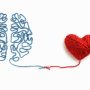 heart-and-brain