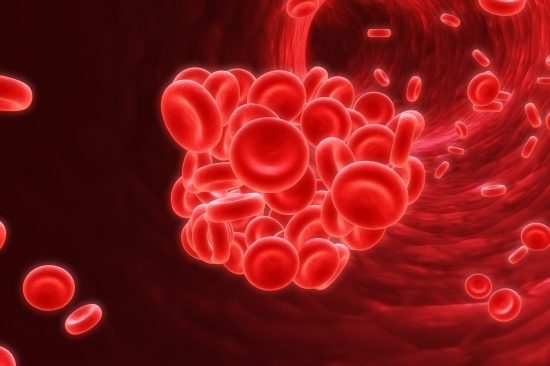 heart-cholesterol-blood-clot-75675601