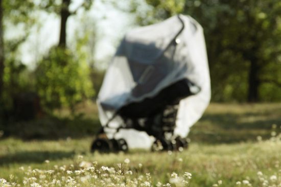 mosquito-netting-on-stroller-blog-02-23-16